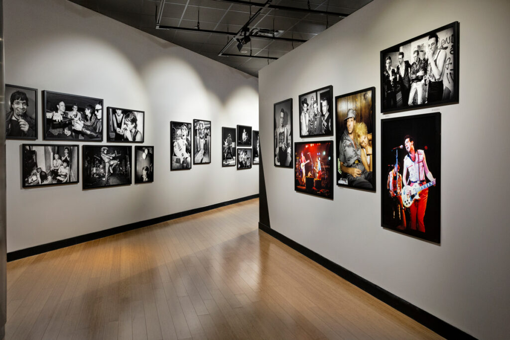 Days of Punk Exhibit